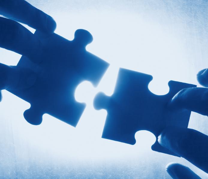 7 Common Denominators Story: The Puzzle